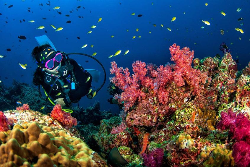 10 dolog, amit tudni kell a csodálatos Vörös-tengerről